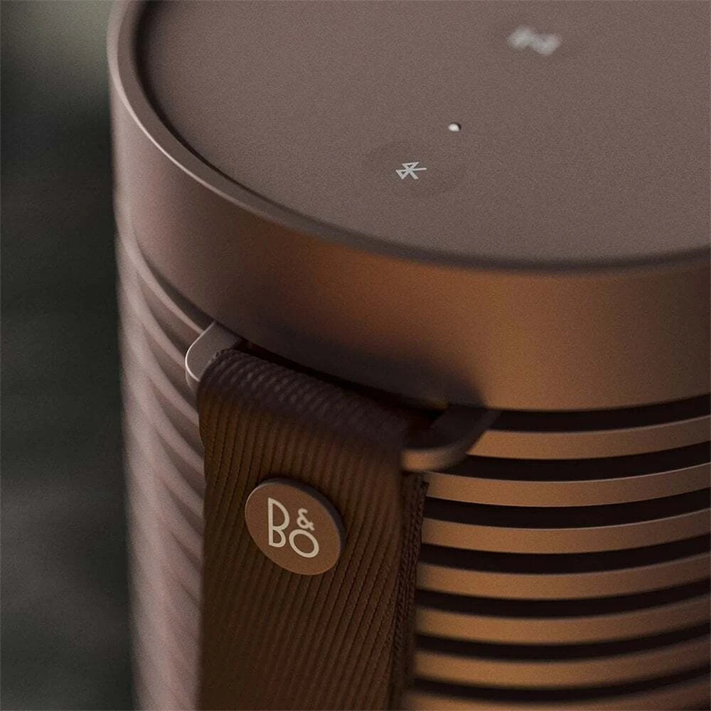 Колонка Bang & Olufsen Beosound Explore Chestnut | Покупайте в