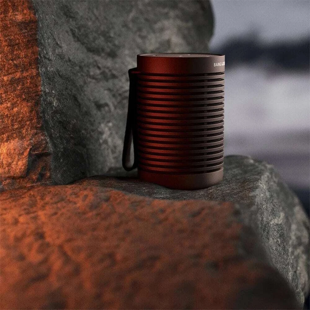 Колонка Bang & Olufsen Beosound Explore Chestnut | Покупайте в