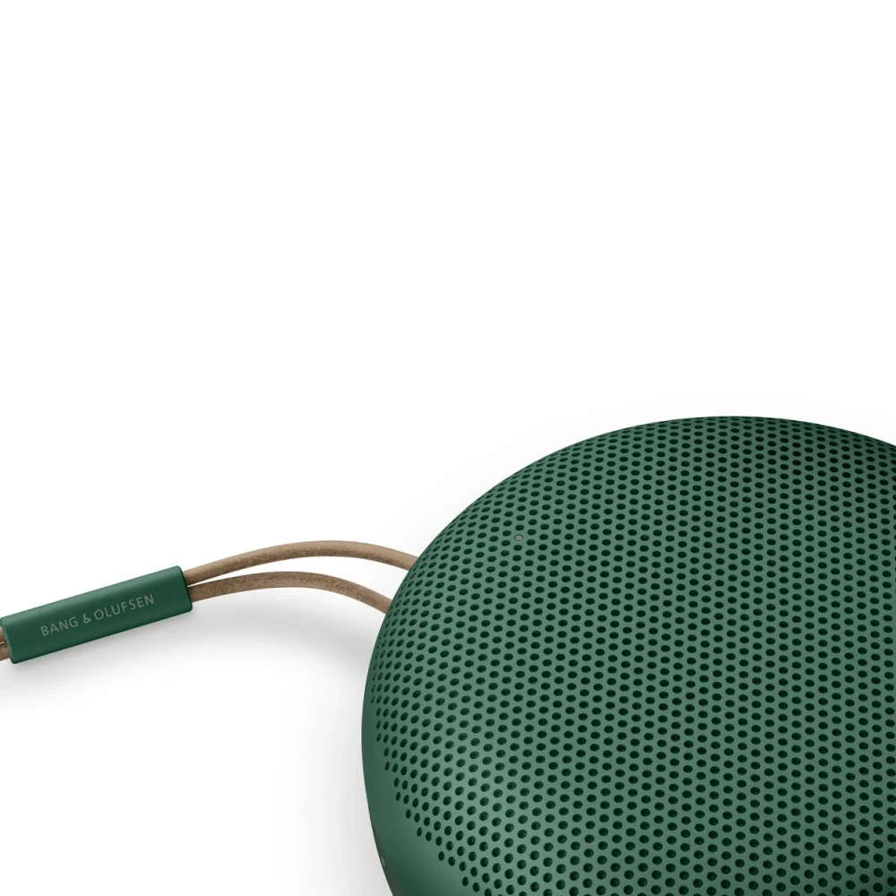 Колонка Bang & Olufsen Beosound A1 2nd Gen Green | Купить в